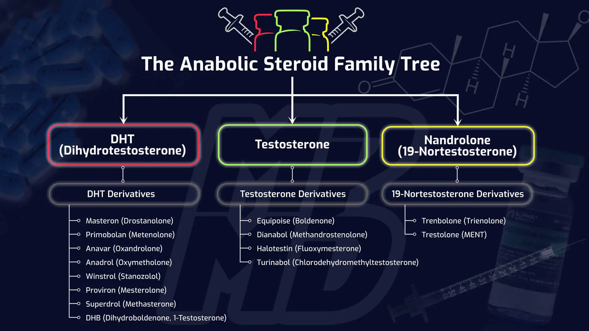 The Anabolic Steroid Family Tree